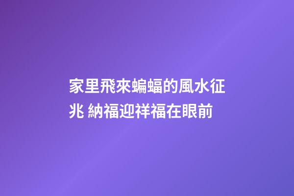家里飛來蝙蝠的風水征兆 納福迎祥福在眼前